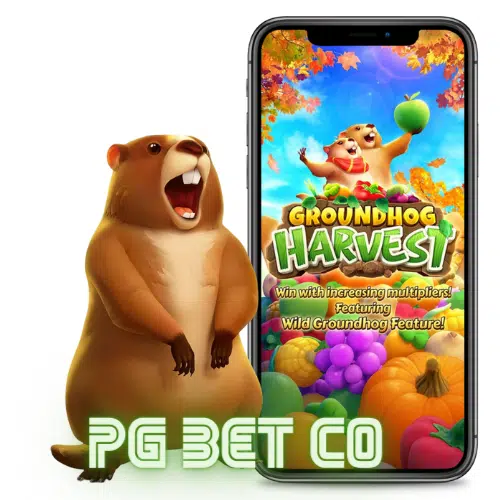 PG-BET-CO-Groundhog-Harves