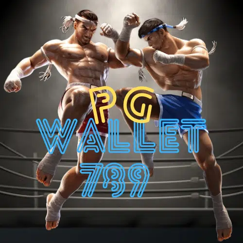 pg-wallet-789- logo