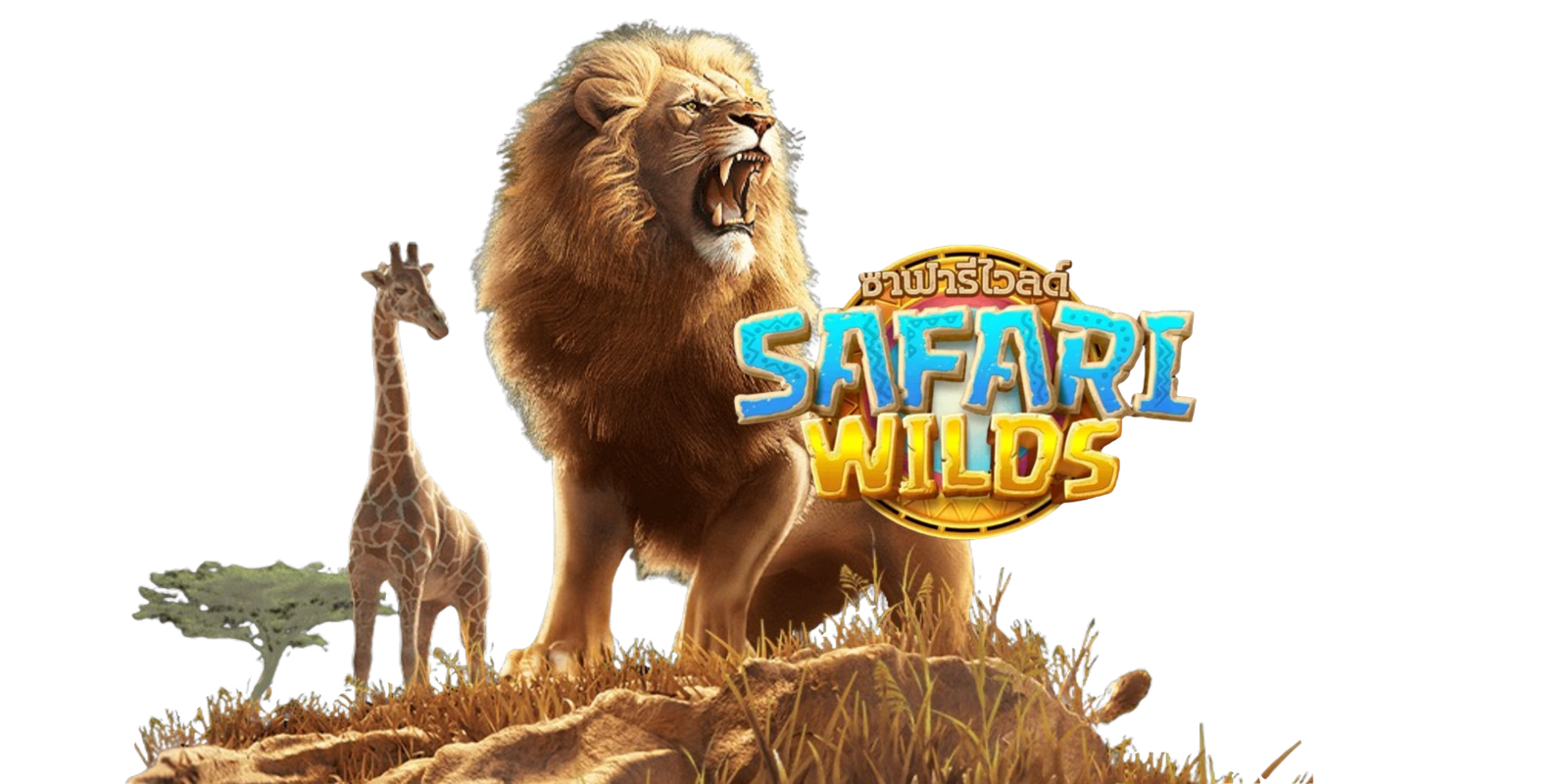 PG-jackpot88-Safari-Wilds